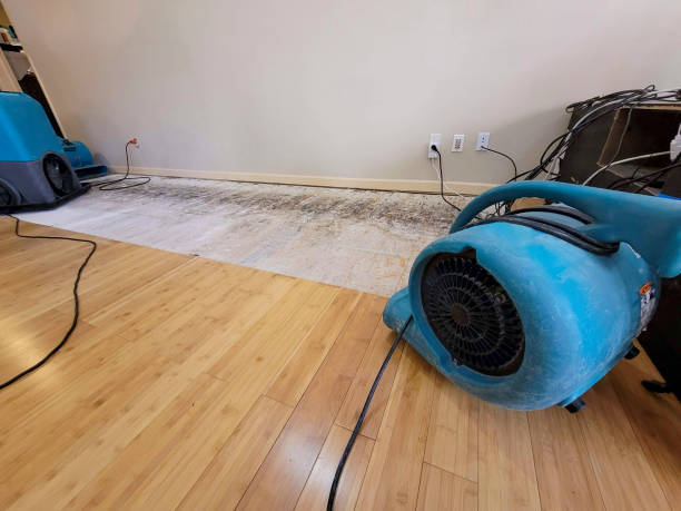 Professional Flood Damage Cleanup technician working in Saddle River, NJ